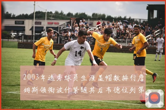 2003年选秀球员生涯盖帽数排行詹姆斯领衔波什紧随其后韦德位列第五