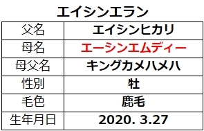 20220806新潟5エイシンエラン