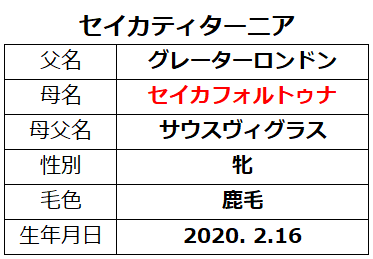20221008東京6セイカティターニア