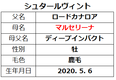 20221015東京5シュタールヴィント