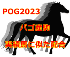 POG2023バゴ産駒