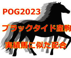 POG2023ブラックタイド産駒