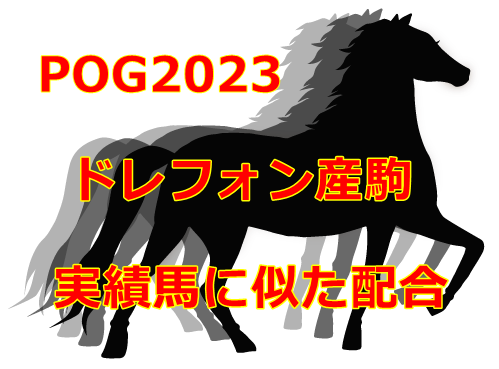 POG2023ドレフォン産駒
