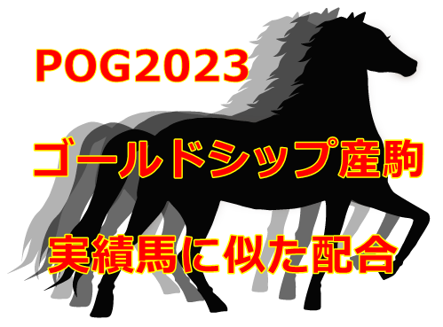 POG2023ゴールドシップ産駒
