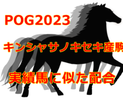 POG2023キンシャサノキセキ産駒