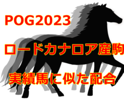 POG2023ロードカナロア産駒