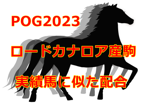 POG2023ロードカナロア産駒