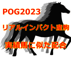 POG2023リアルインパクト産駒