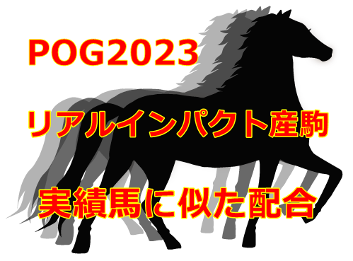 POG2023リアルインパクト産駒