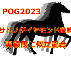 POG2023サトノダイヤモンド産駒