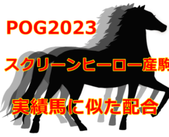 POG2023スクリーンヒーロー産駒