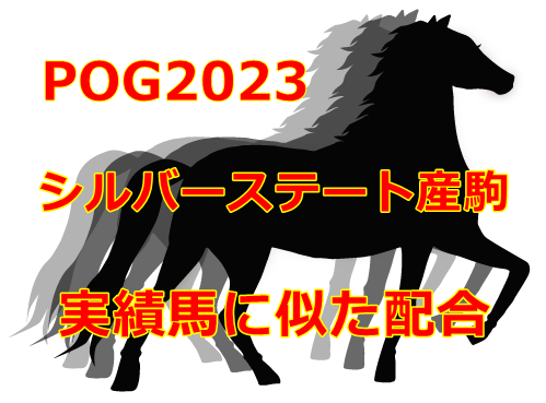 POG2023シルバーステート産駒