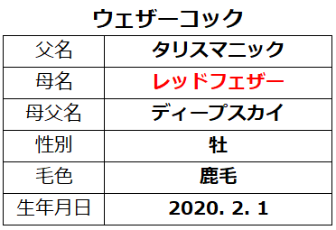 20221203阪神6ウェザーコック