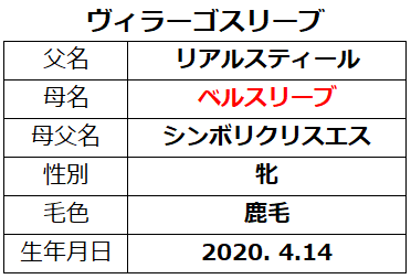20221210阪神5ヴィラーゴスリーブ