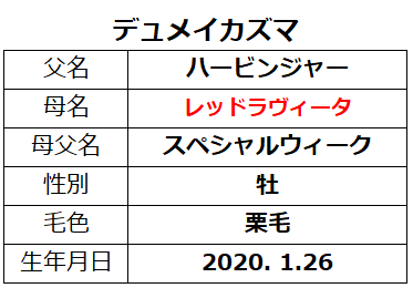 20230105中山3デュメイカズマ