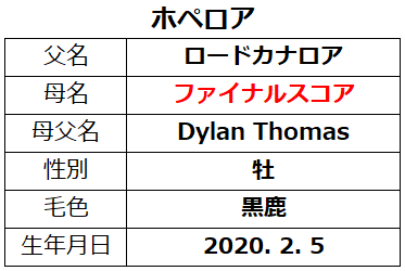 20230212阪神4ホペロア