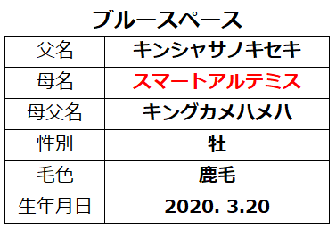 20230304阪神5ブルースペース