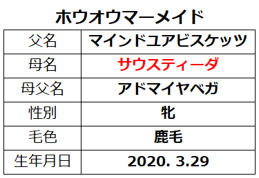 20230318阪神1ホウオウマーメイド