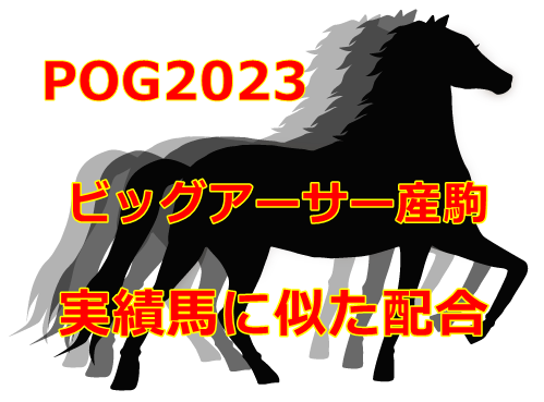 POG2023ビッグアーサー産駒