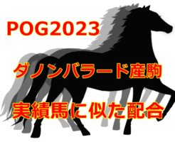 POG2023ダノンバラード産駒