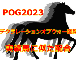 POG2023デクラレーションオブウォー産駒