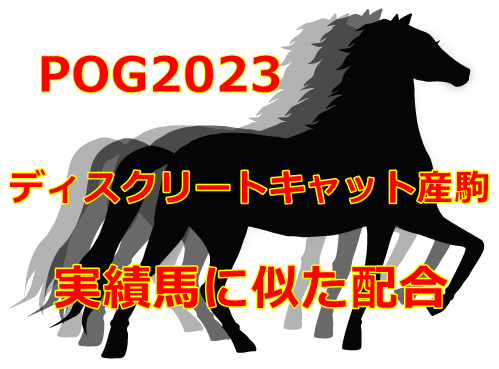 POG2023ディスクリートキャット産駒