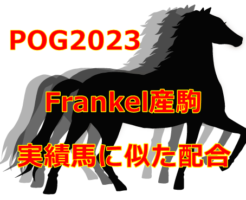 POG2023Frankel産駒
