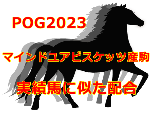 POG2023マインドユアビスケッツ産駒