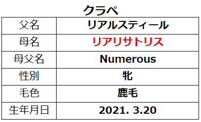 20231118東京4クラペ